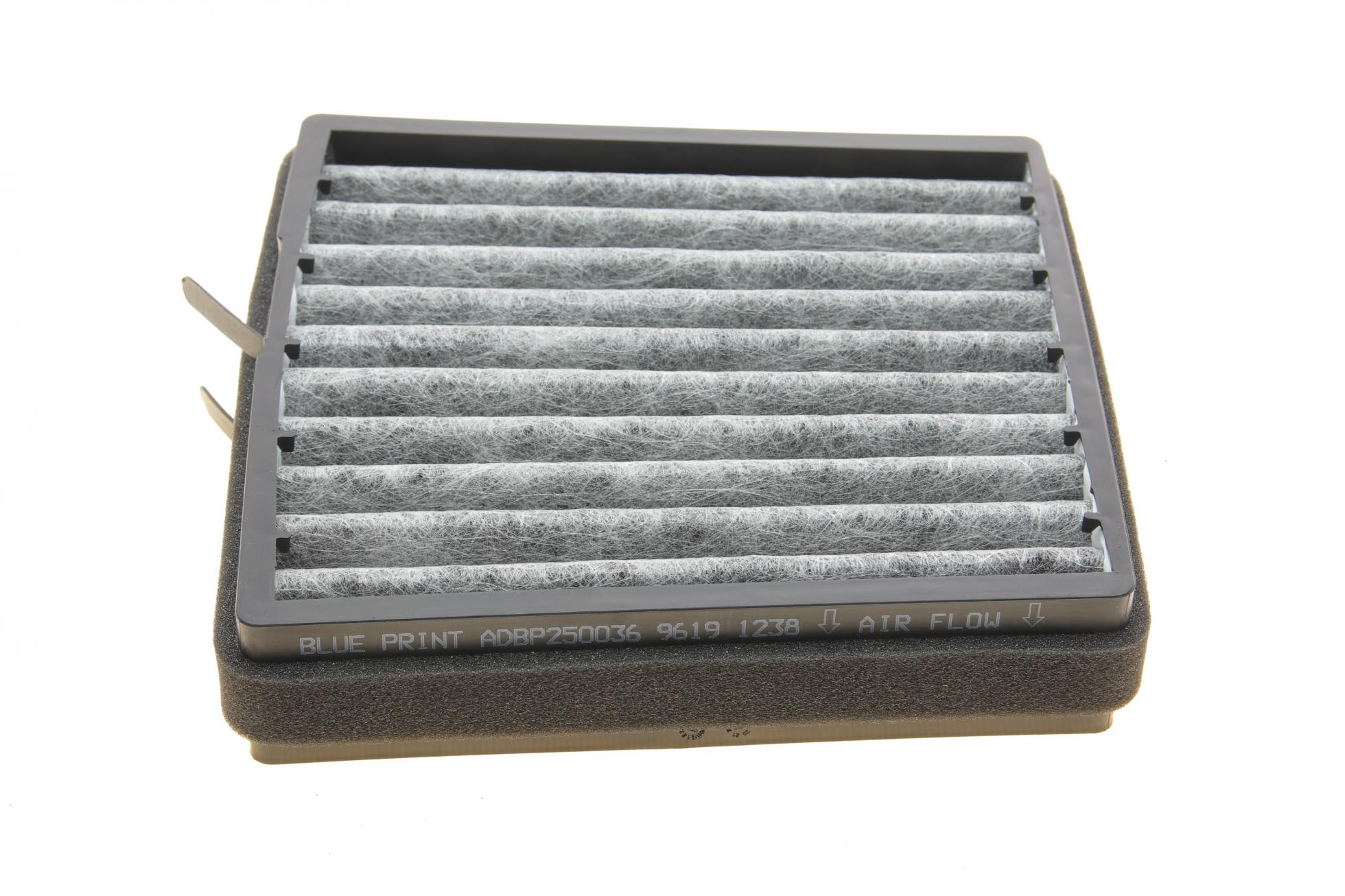 ADBP250036 BLUE PRINT